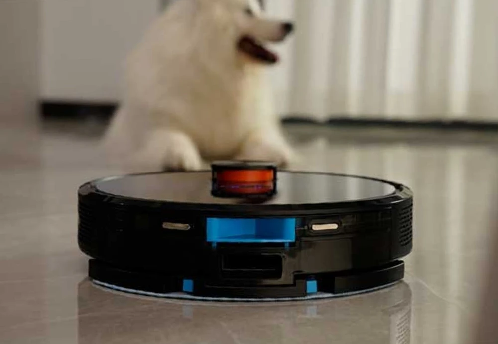 robot vacuum and cleaner